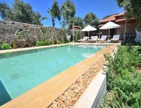 Zeytin Villa *