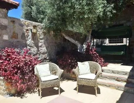 Villa Zeytin *